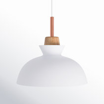 Ozma+Single+Light+Dimmable+ Ozma+Single+Light+Dimmable+